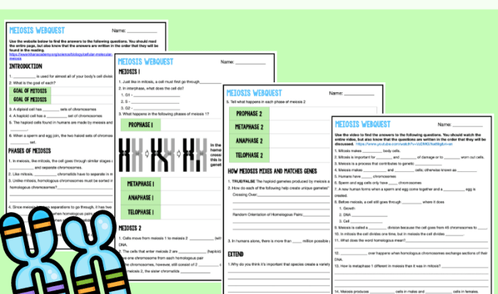 Dna history webquest answer key