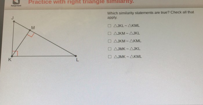 Which similarity statements are true check all that apply